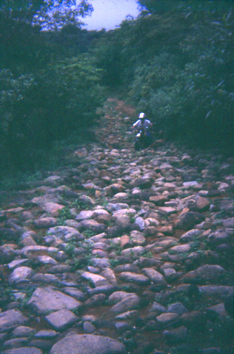 124_rockyroad
