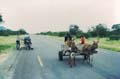016_donkeycart