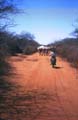 070_camels