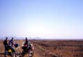 082_nkenya